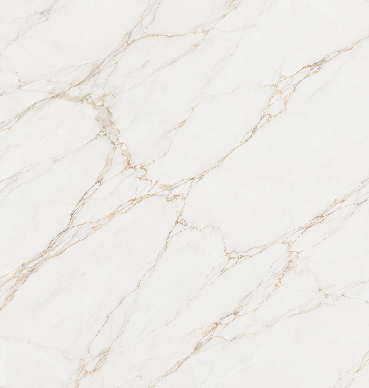 Kajaria Statuario White Tile