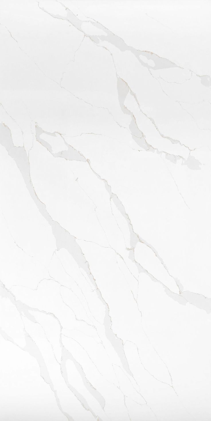 Somany Calacatta White Tile